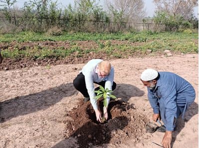 Staff planting a sapling during the spring plantation drive