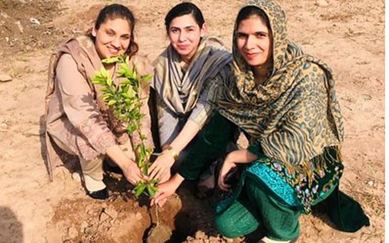 Staff planting a sapling during the spring plantation drive