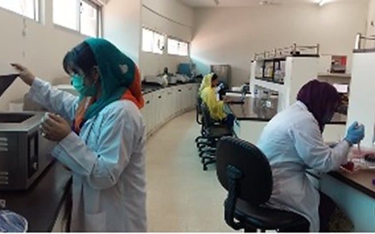 Researchers working in the tissue culture laboratory at NIGAB